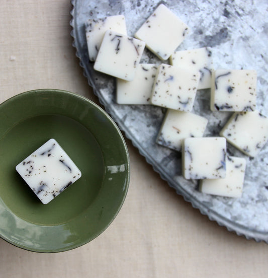 Driftwood + Sea Salt Wax Melts